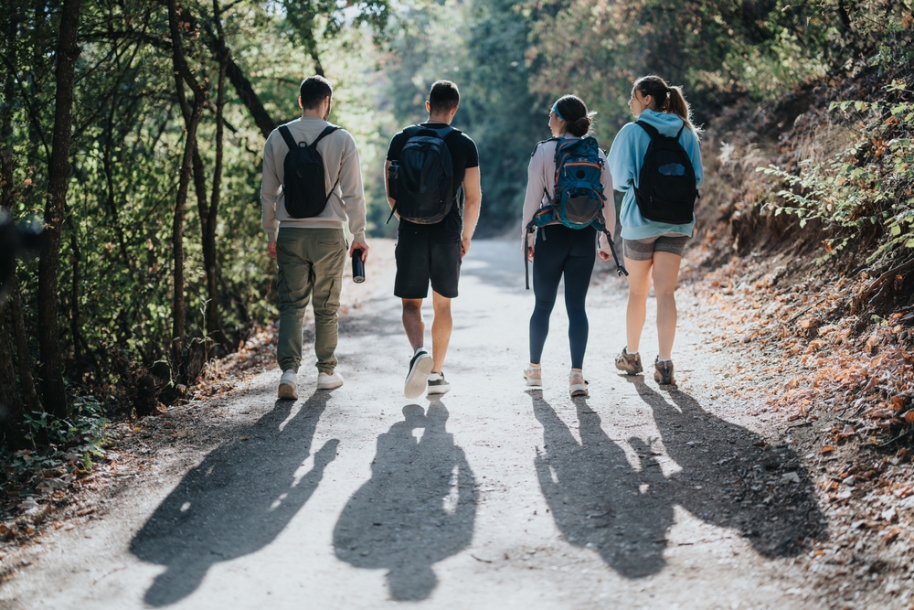 Friends,Hike,In,Autumn,Forest,,Enjoying,A,Sunny,Day,,Fun