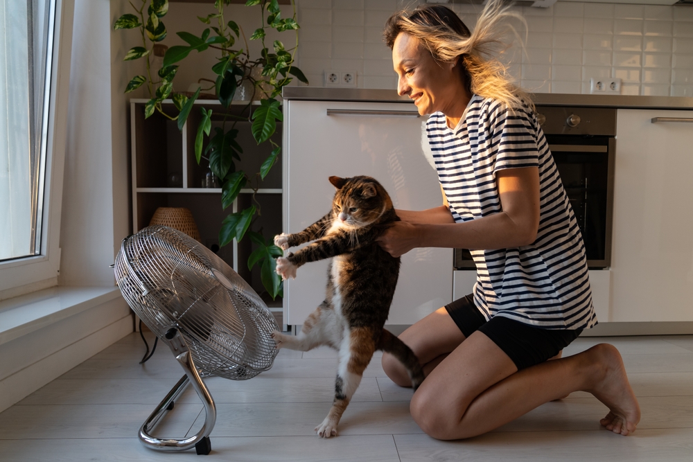 Domestic,Cat,Trying,To,Run,Away,From,Blonde,Owner,Hates