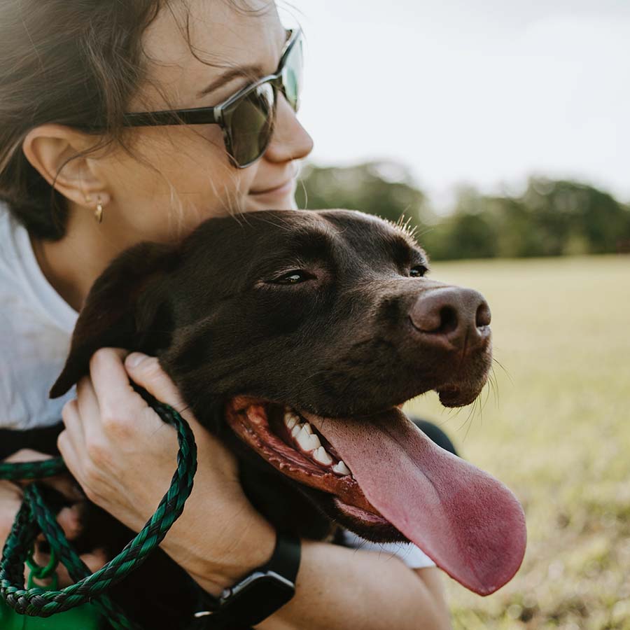 Person hugging chocolate lab dog outside.